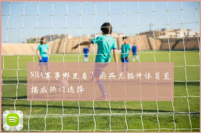 NBA赛事哪里看？雨燕无插件体育直播成热门选择
